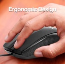 Mouse Argom - Ratón óptico, ergonómico, 800 dpi, 3 botones, usb, color negro.
