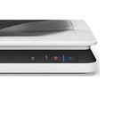 Escáner Epson WorkForce DS-1630 - Escáner de alimentación automática, 1200 dpi, cama plana, hasta 25 ppm/10 ipm, 8bits, soporta formato de papel A4, A5, A6, usb 3.0, conexión RJ-45. B11B239201