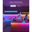 Luces Govee Basic - Wifi RGBIC, Bluetooth Led Strip 10m, Alexa, Google Assistant H618c
