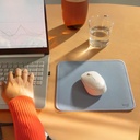 Mouse Logitech M170 - Inalámbrico Con Receptor, 2.4Ghz, USB, Óptico, 1000 dpi, Blanco. 910-006864.