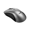 Mouse Genius Rs2 Ergo 8100s Ai Inalambrico Con Receptor 31030040404 Gris